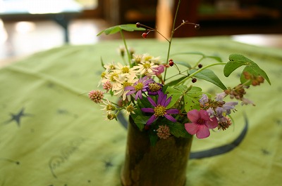 森のコーヒー屋さんの花